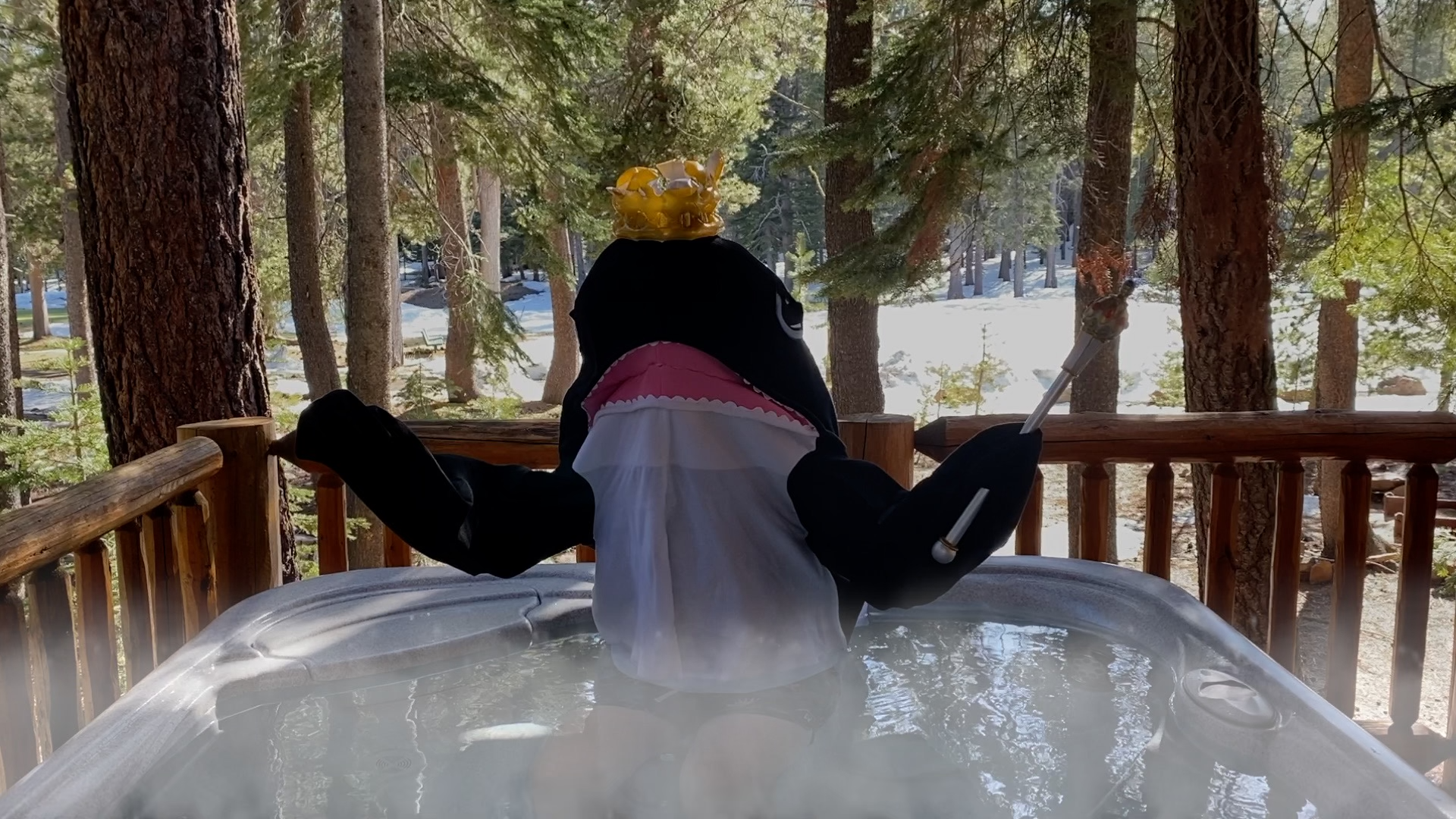 Episode 3 Recap: The Whale's Hamilton Hot Tub Performance Proves Crown-Worthy - Vimarsana News