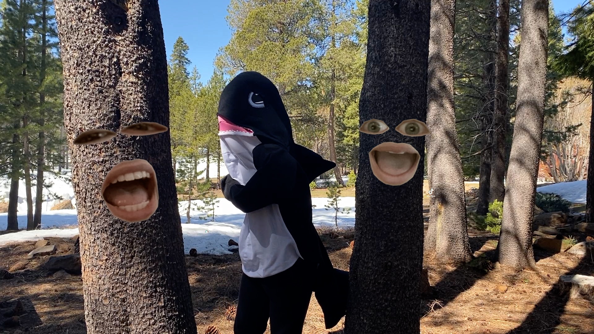 Episode 1 Recap: The Whale Makes a Splash in Broadway's Masked Singer Premiere - Vimarsana News