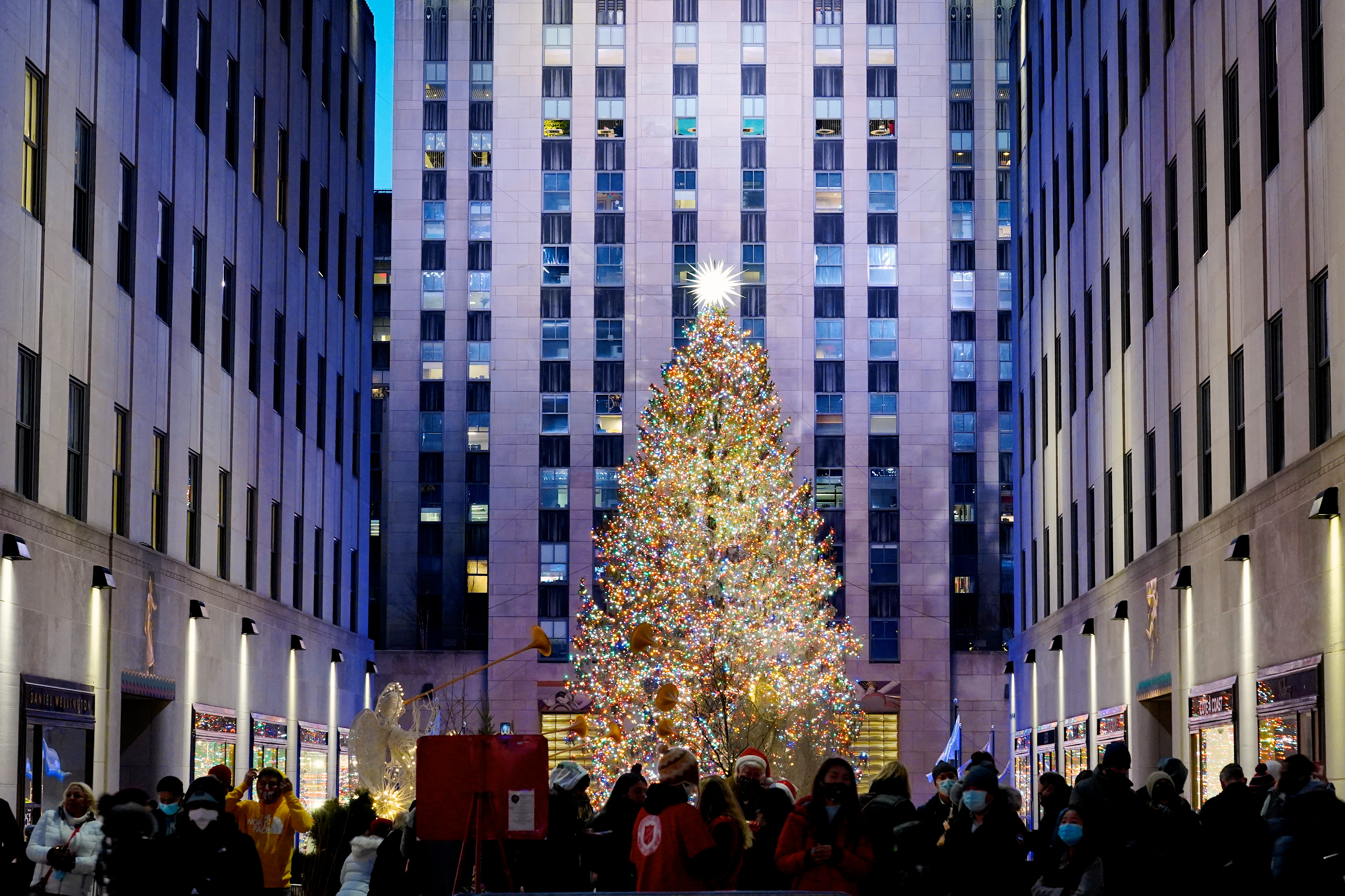 Spend Christmas in New York With Playbill Social Selects and Broadway Up Close December 22 - Vimarsana News
